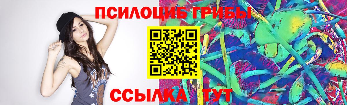 Псилоцибиновые грибы Psilocybe  Вход с VPN  Псилоцибиновые грибы GOLDEN TEACHER  Мирный 