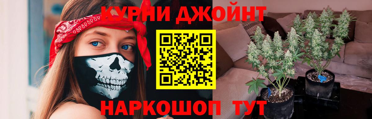 Бошки марихуана Bruce Banner  Вход с VPN  Канабис AK-47  Мирный 
